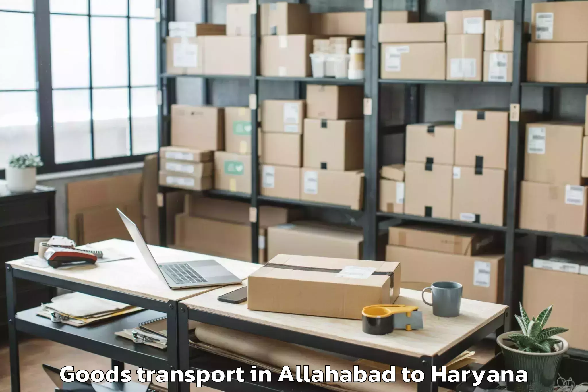 Discover Allahabad to Safidon Goods Transport